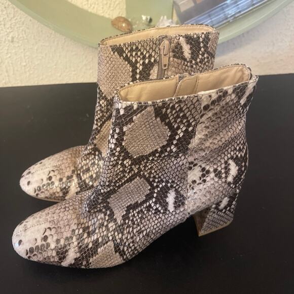 Chinese Laundry Animal Print side zip booties size 8. - Picture 1 of 8